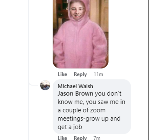 Michael Walsh Grow up and Get a Job Facebook comment